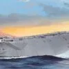 Trumpeter Trumpeter 1/350 USS Kitty Hawk CV-63