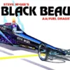 AMT AMT 1/25 Steve McGee Black Beauty Wedge Dragster